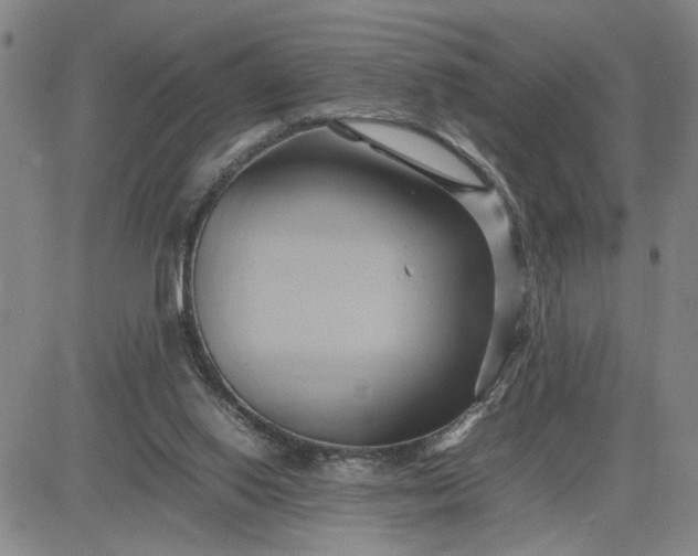 X0000083620062200702261004