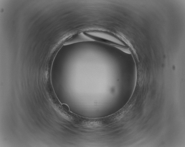 X0000083620063200702261004