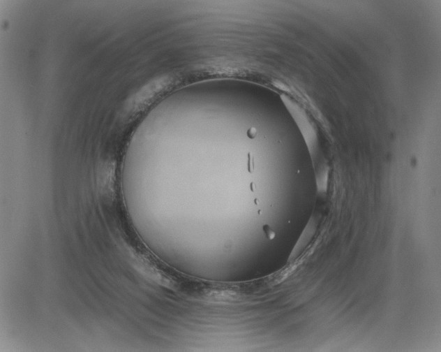 X0000083620066200702261004