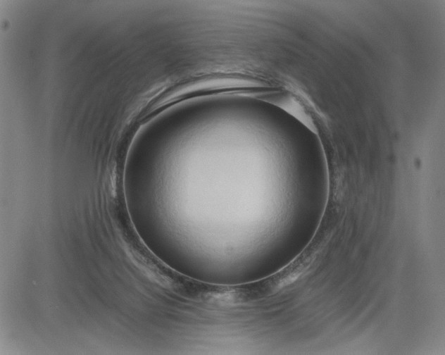 X0000083620068200702261004