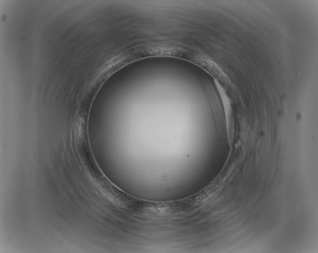 X0000083620071200702261004