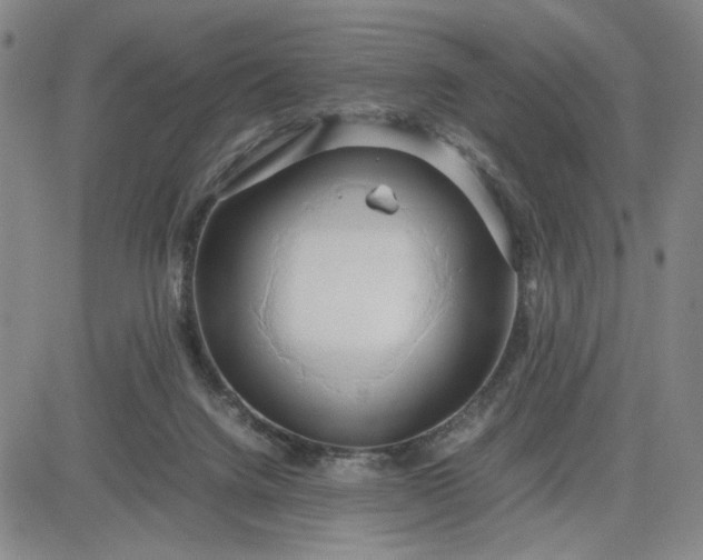 X0000083620072200702261004