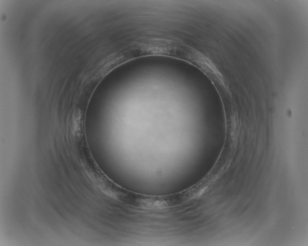 X0000083620073200702261004