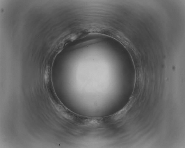 X0000083620074200702261004