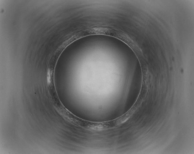 X0000083620075200702261004