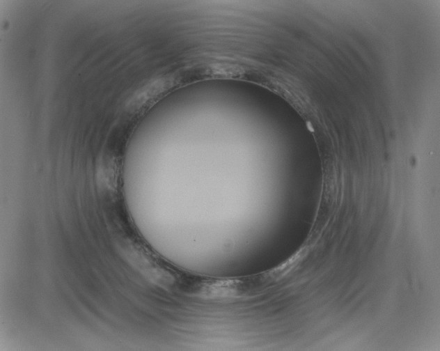 X0000083620078200702261004