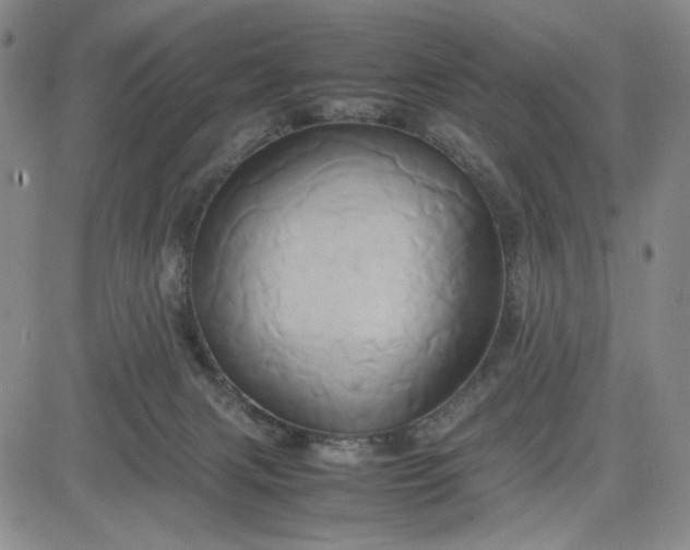 X0000083620079200702261004