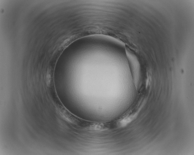 X0000083620080200702261004