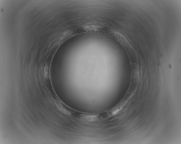 X0000083620081200702261004