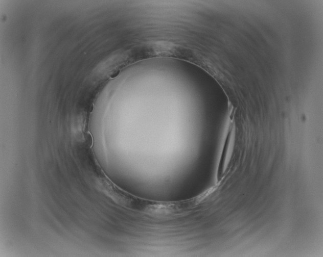 X0000083620082200702261004