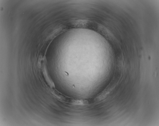 X0000083620083200702261004