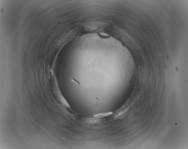 X0000083620085200702261004