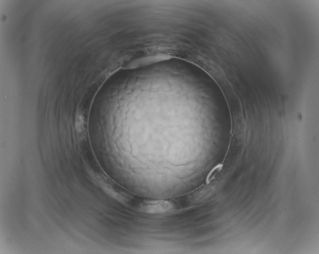 X0000083620087200702261004