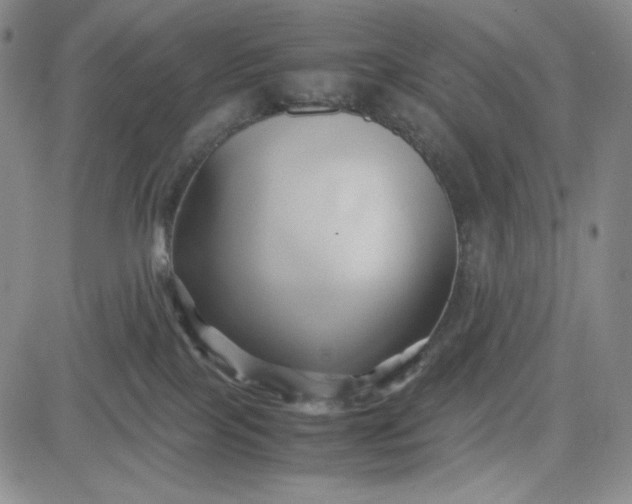 X0000083620089200702261004