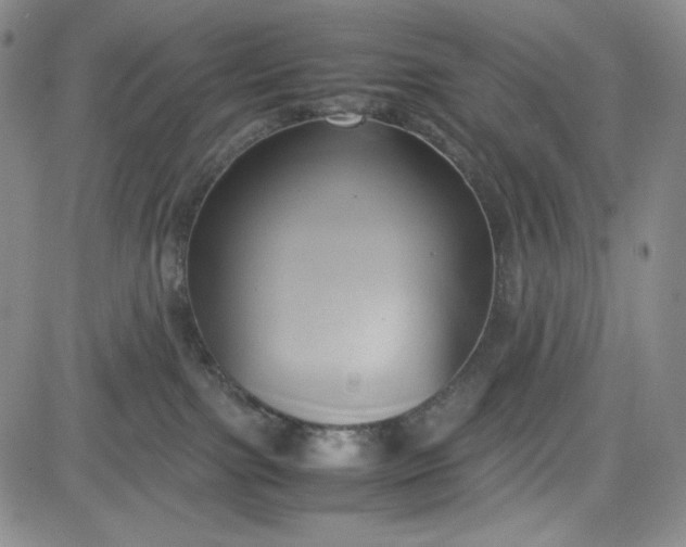 X0000083620091200702261004