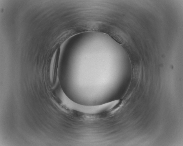 X0000083620092200702261004