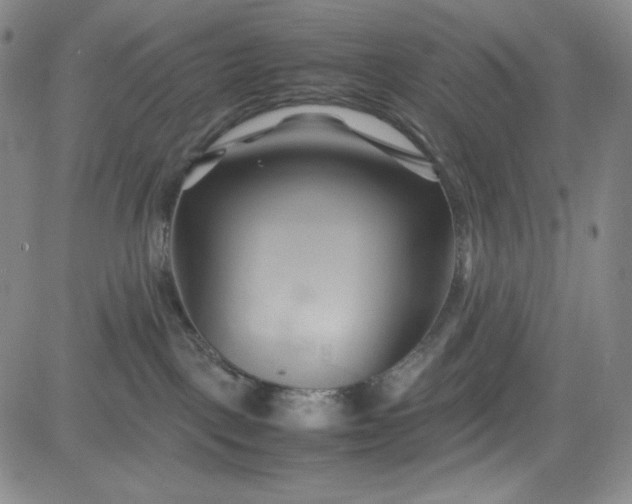 X0000083620093200702261004