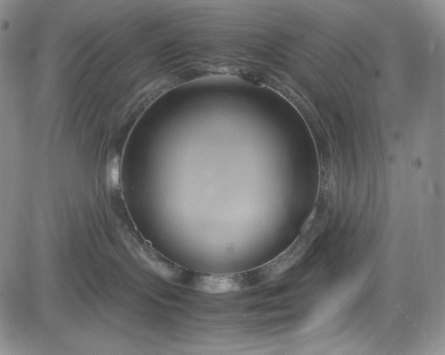 X0000083620095200702261004