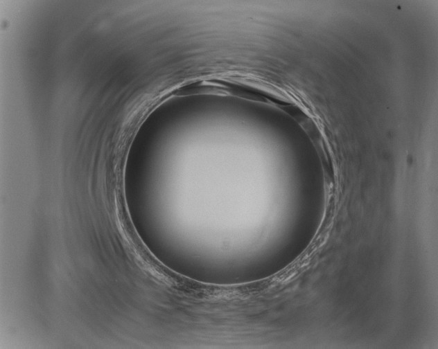 X0000083620097200702261004