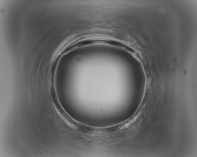 X0000083620101200702261004