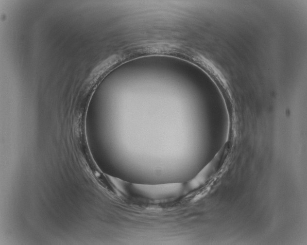 X0000083620105200702261003