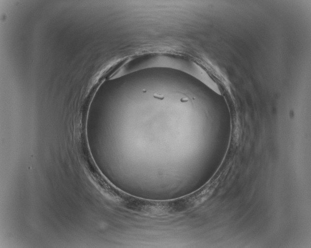 X0000083620107200702261003