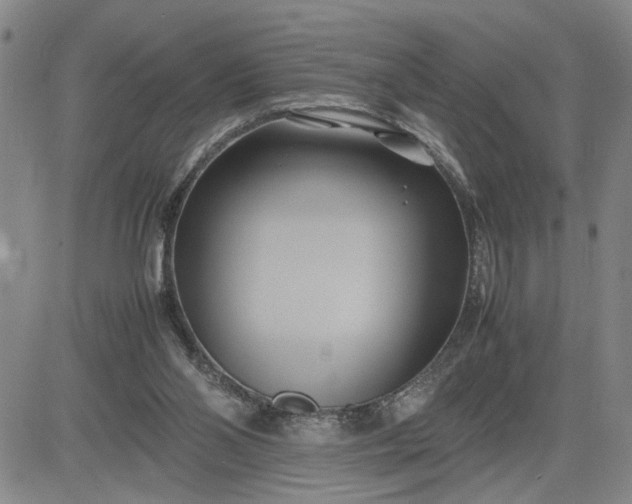 X0000083620110200702261003