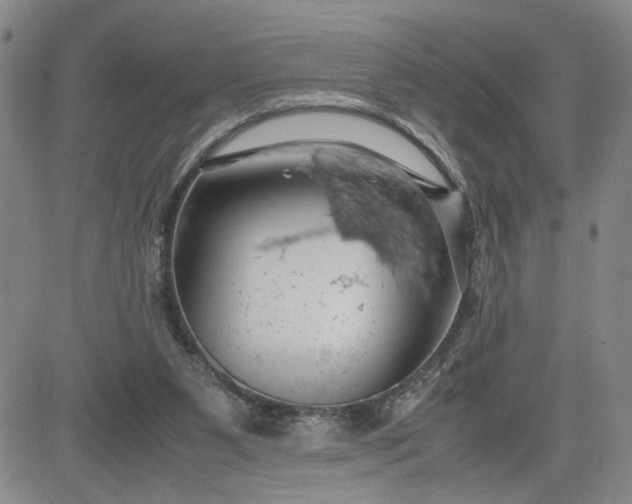 X0000083620111200702261003