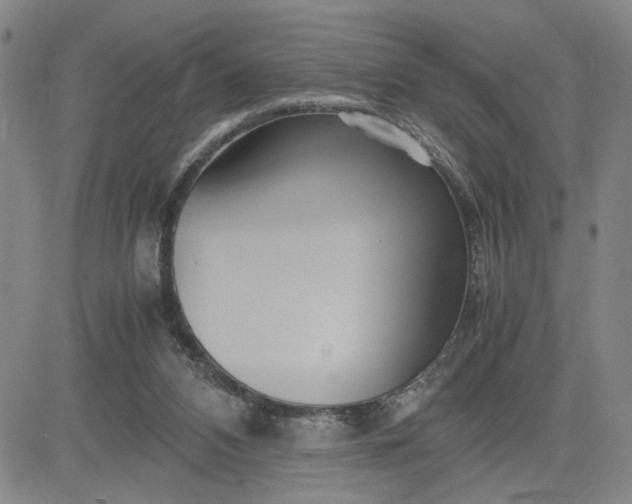 X0000083620112200702261003