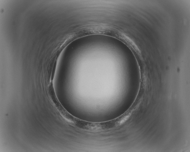 X0000083620113200702261003