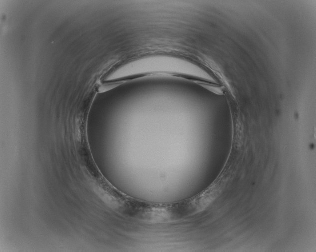 X0000083620114200702261003