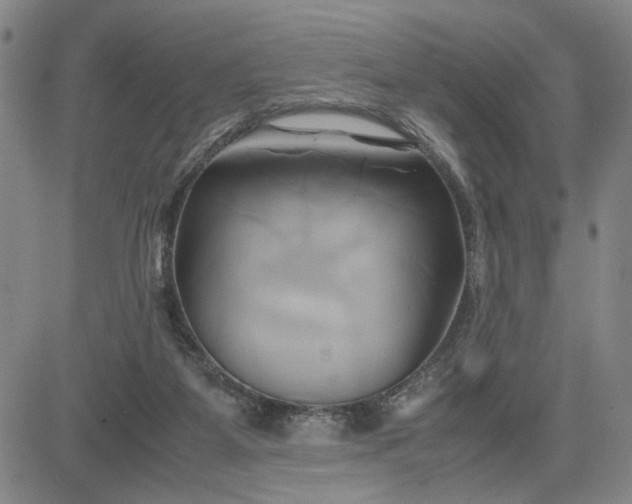 X0000083620115200702261003