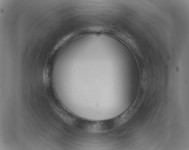 X0000083620116200702261003