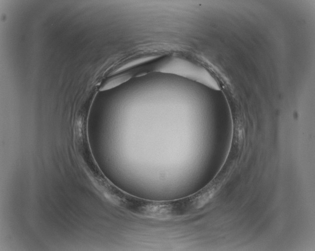 X0000083620117200702261003