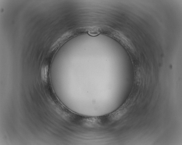 X0000083620118200702261003