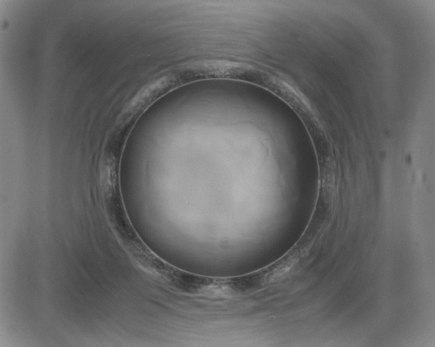 X0000083620119200702261003