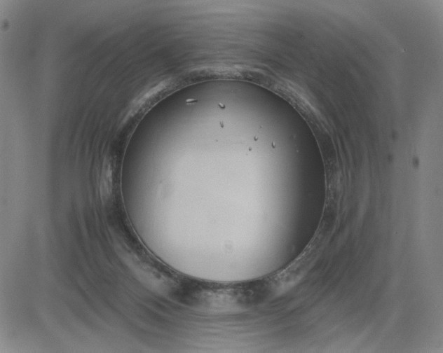 X0000083620120200702261003