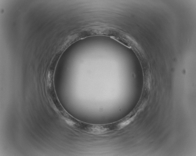 X0000083620121200702261003