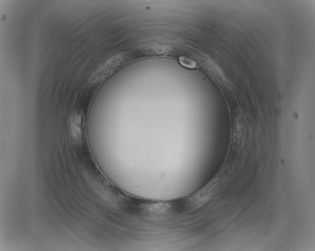 X0000083620122200702261003