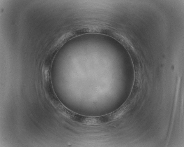 X0000083620123200702261003