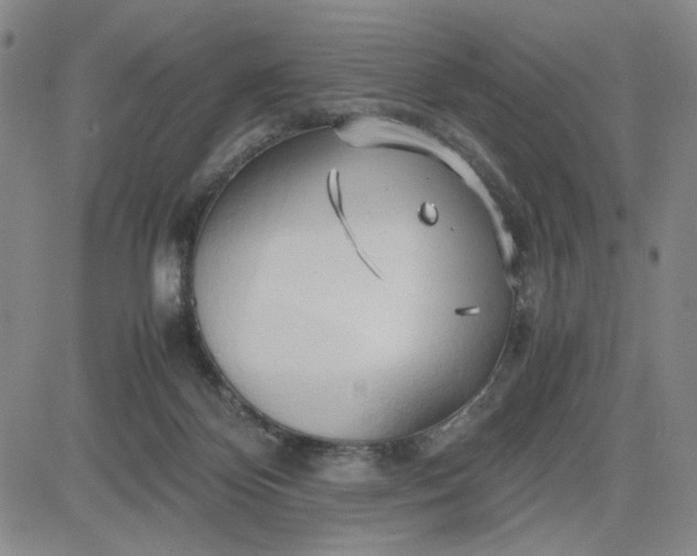 X0000083620124200702261003