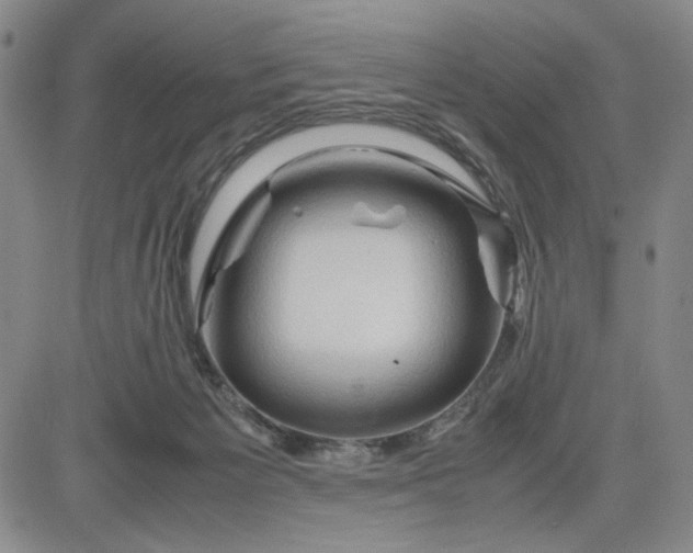 X0000083620125200702261003