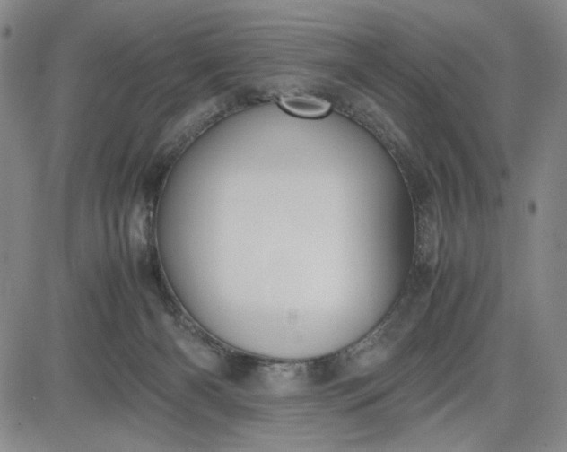 X0000083620126200702261003