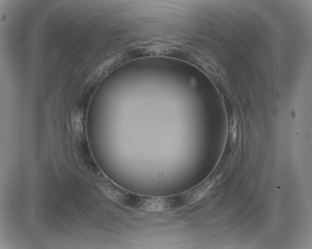 X0000083620127200702261003