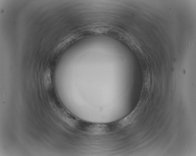 X0000083620128200702261003