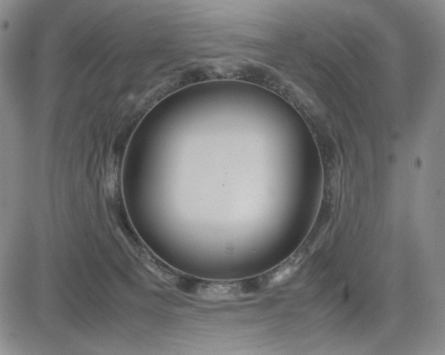 X0000083620129200702261003