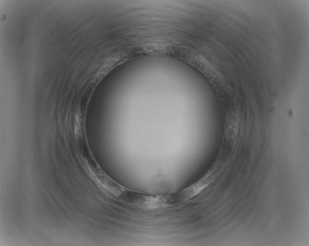 X0000083620130200702261003