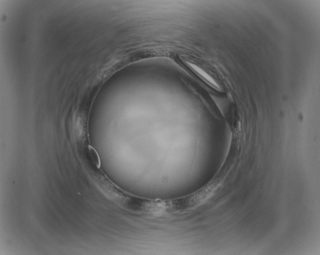 X0000083620131200702261003