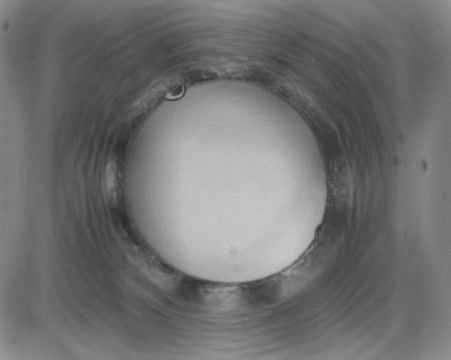 X0000083620132200702261003