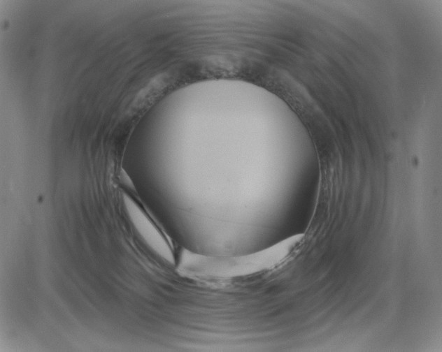 X0000083620134200702261003